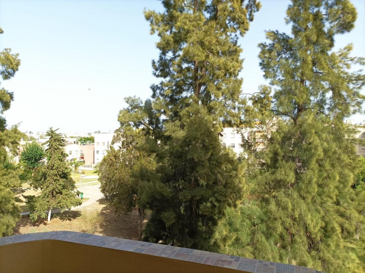 Super Luminoso Y Muy Tranquilo Con 2 Dormitorios Jerez de la Frontera Exteriör bild